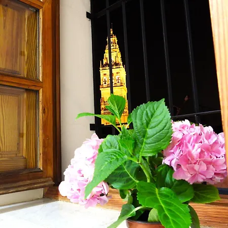 La Calleja De La Mezquita 公寓 科爾多瓦